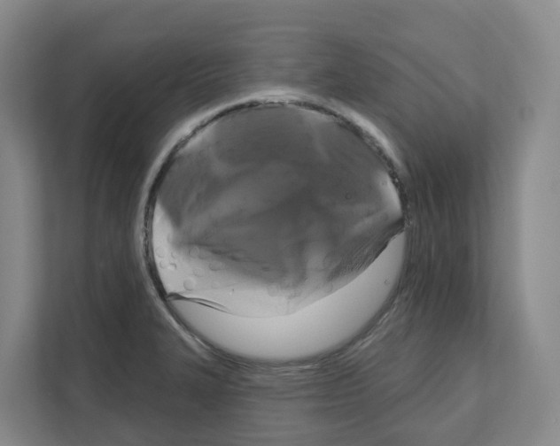 X0000111821327200909031443