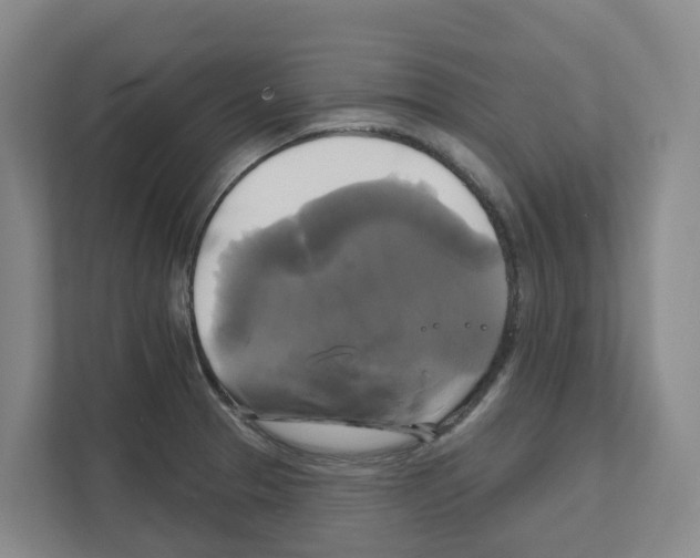 X0000111821329200909031443