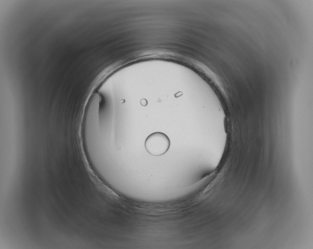 X0000111821330200909031443