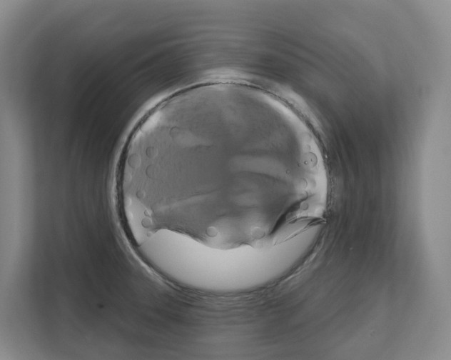 X0000111821331200909031443