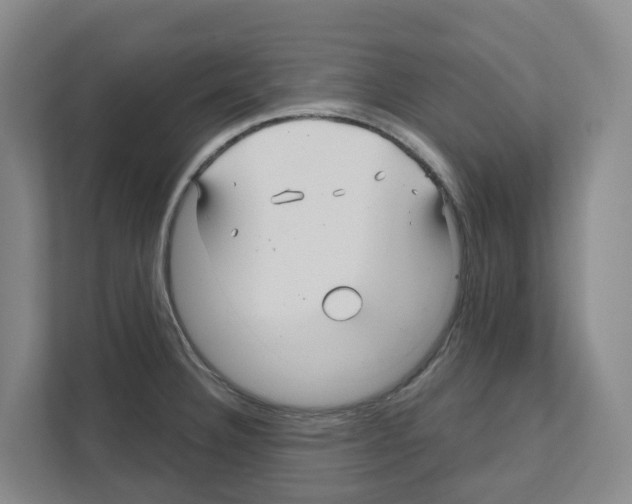 X0000111821332200909031443