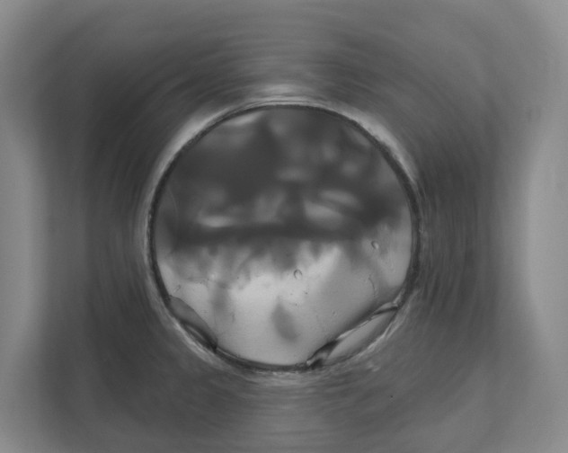 X0000111821333200909031443