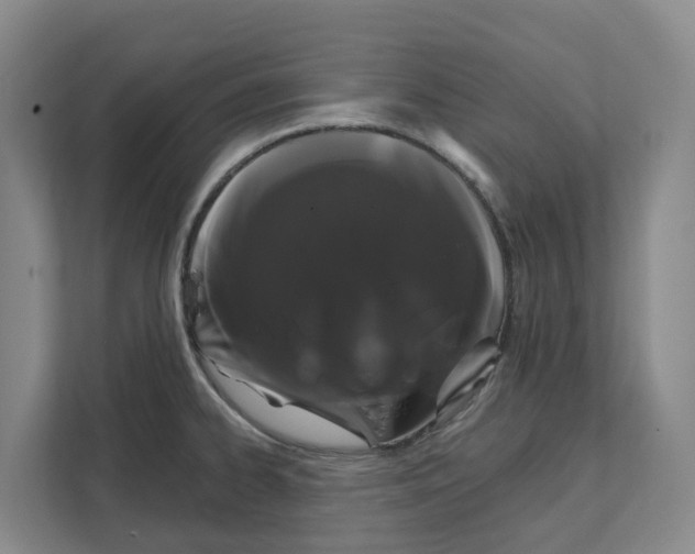 X0000111821334200909031443