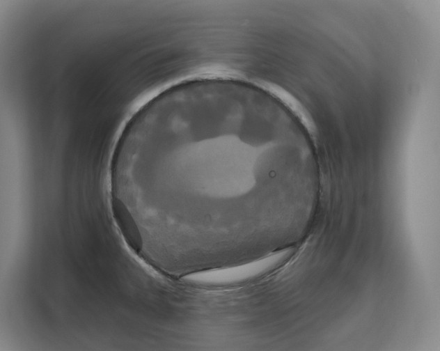 X0000111821335200909031443