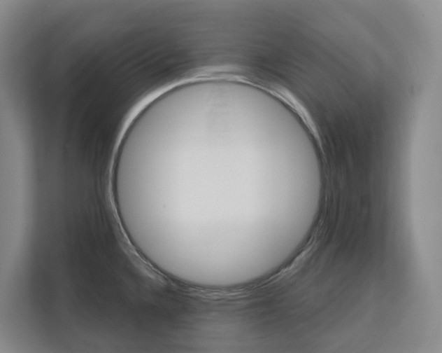 X0000111821336200909031443
