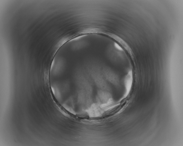 X0000111821337200909031443