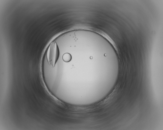 X0000111821339200909031443
