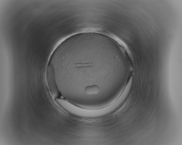 X0000111821340200909031443