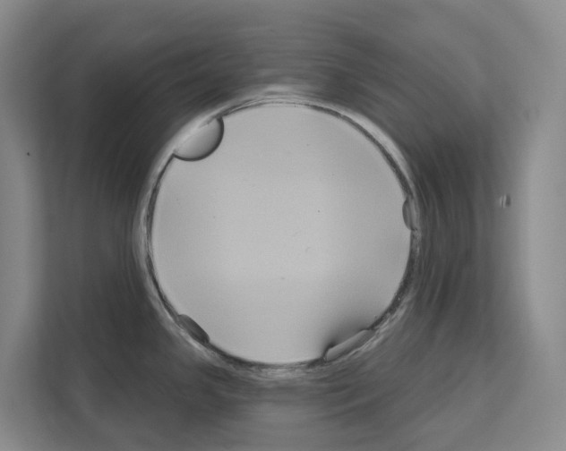 X0000111821341200909031443