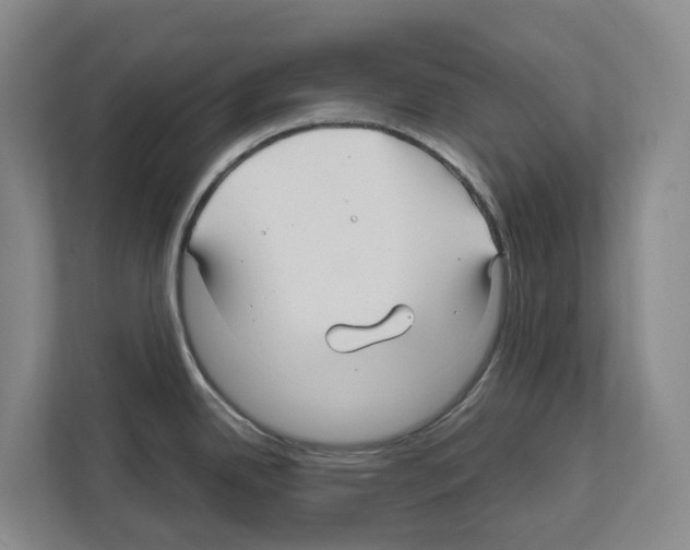 X0000111821342200909031443