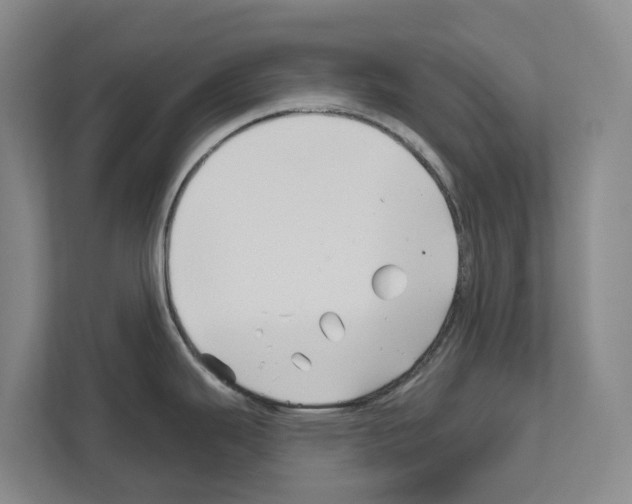 X0000111821343200909031443