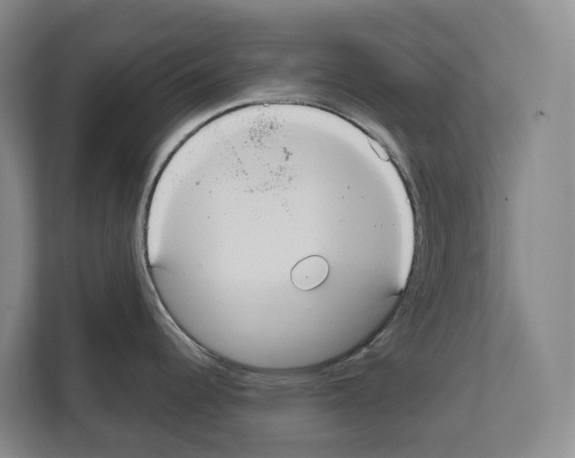 X0000111821344200909031443