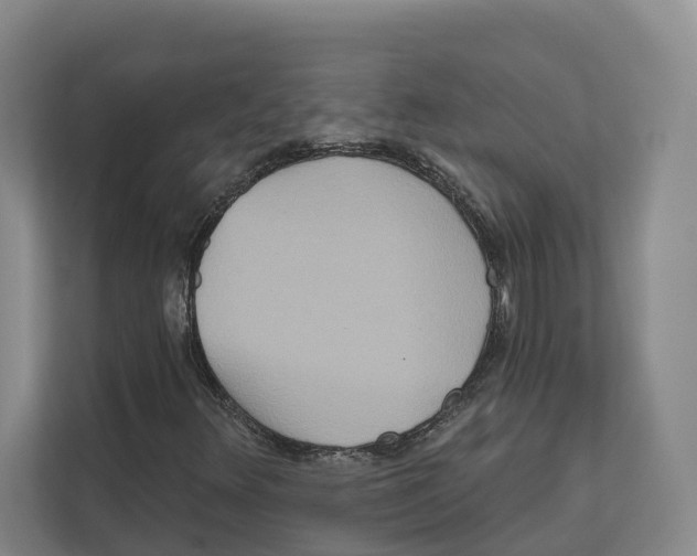 X0000111821348200909031442