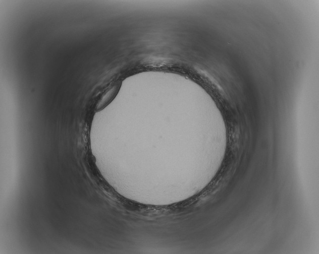 X0000111821349200909031442