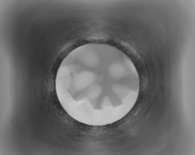 X0000111821350200909031442