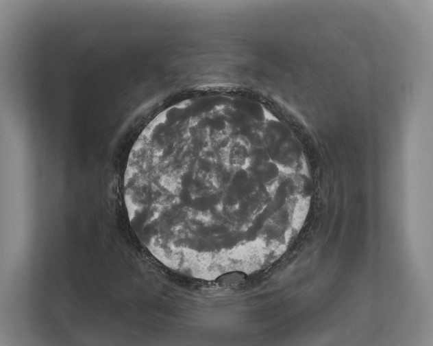 X0000111821351200909031442