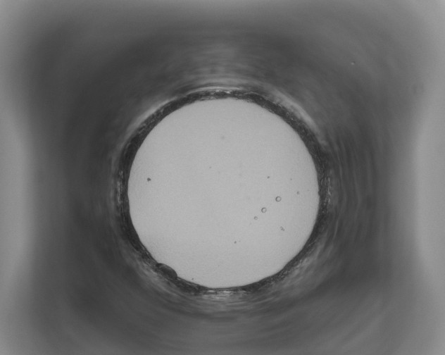 X0000111821352200909031442