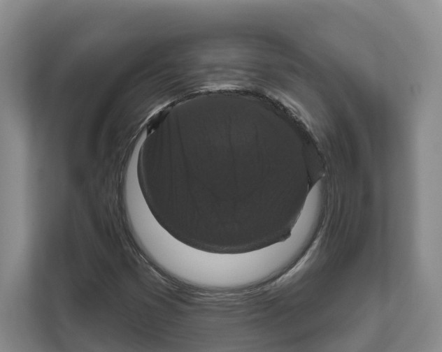 X0000111821353200909031442