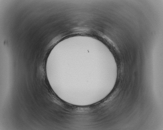 X0000111821354200909031442