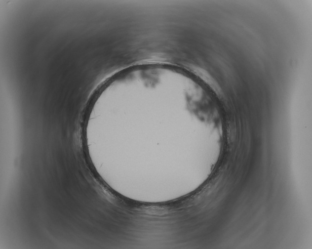 X0000111821356200909031442
