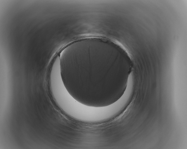 X0000111821357200909031442