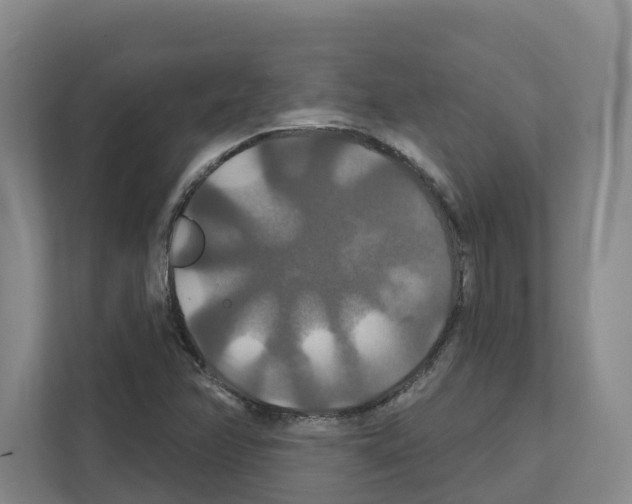 X0000111821358200909031442