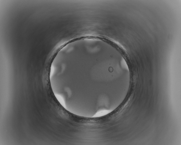 X0000111821359200909031442
