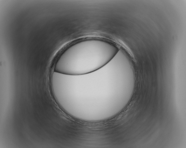 X0000111821360200909031442