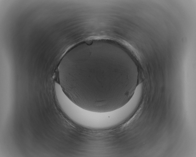 X0000111821361200909031442