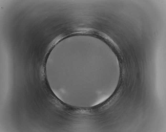 X0000111821362200909031442