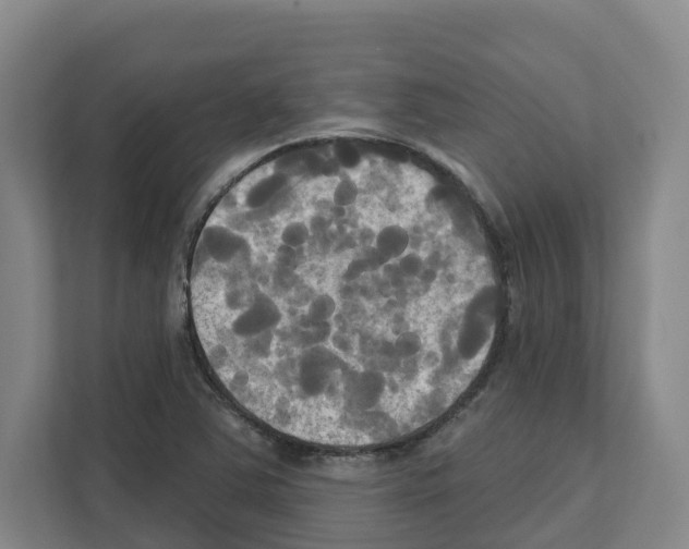 X0000111821363200909031442