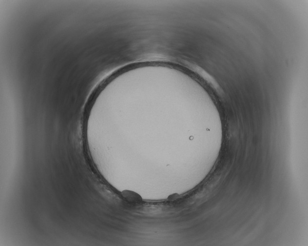 X0000111821364200909031442