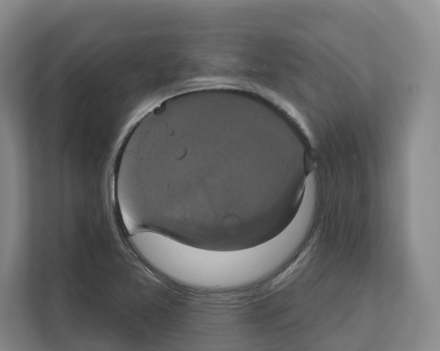 X0000111821365200909031442
