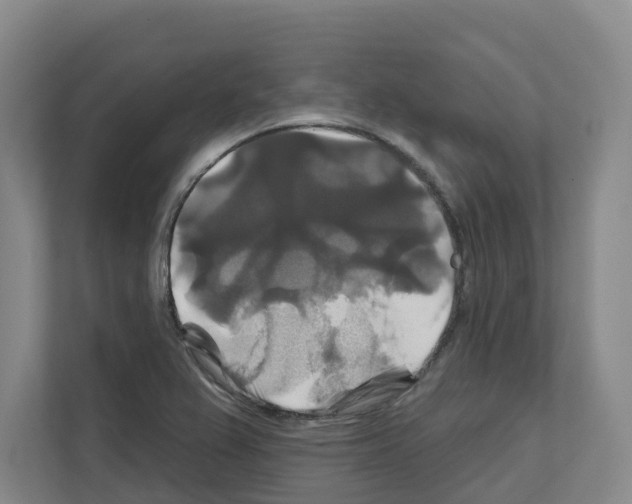 X0000111821367200909031442