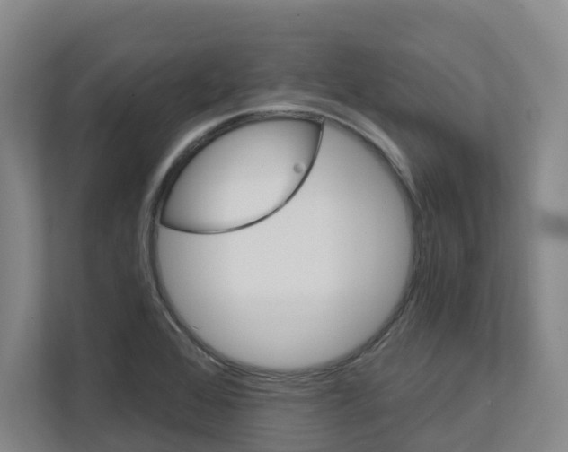 X0000111821368200909031442