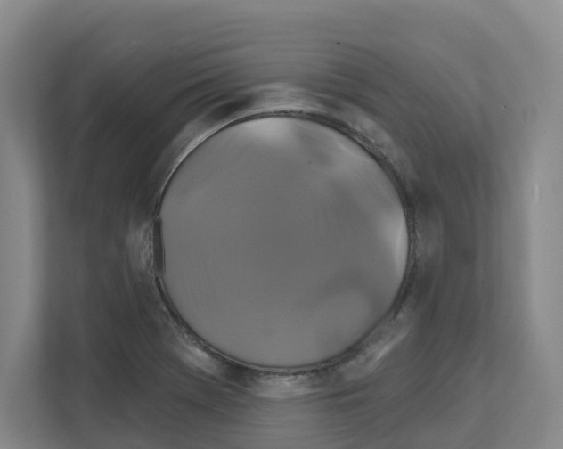 X0000111821369200909031442