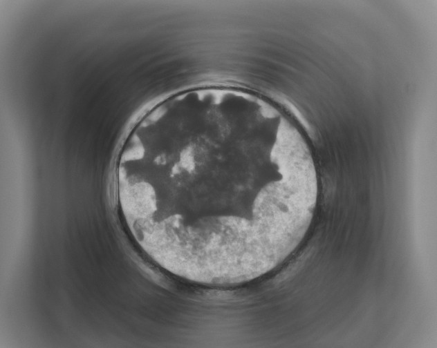 X0000111821371200909031442