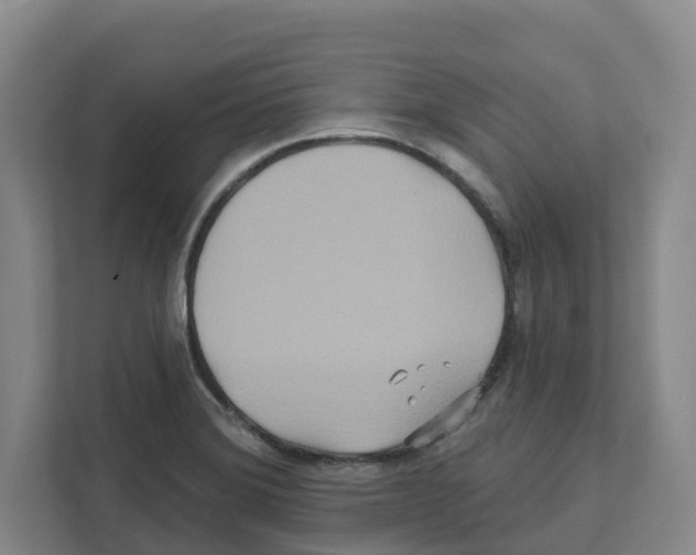 X0000111821372200909031442