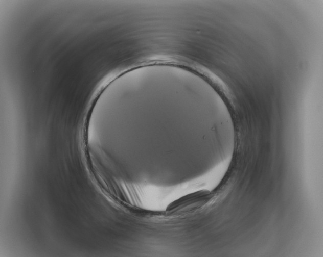 X0000111821373200909031442