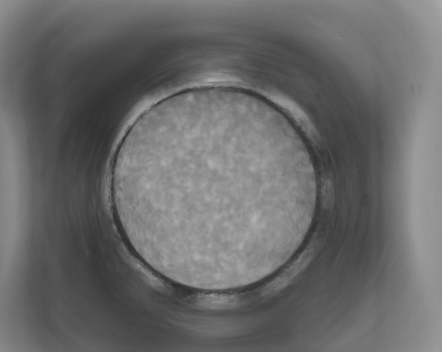 X0000111821374200909031442
