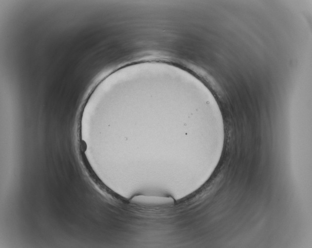X0000111821375200909031442