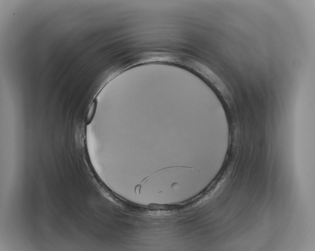 X0000111821377200909031442