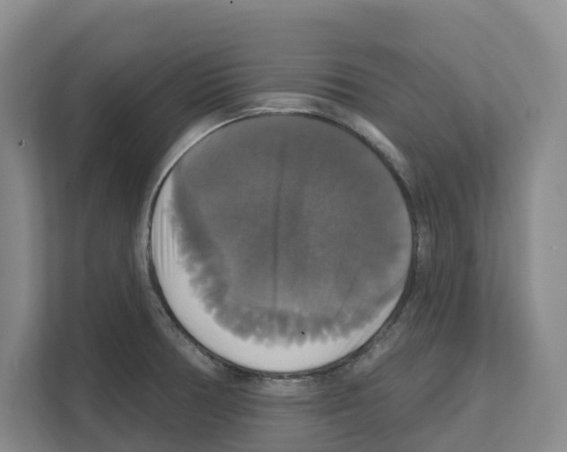 X0000111821378200909031442