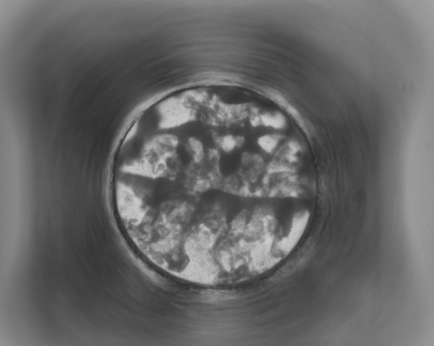 X0000111821379200909031442