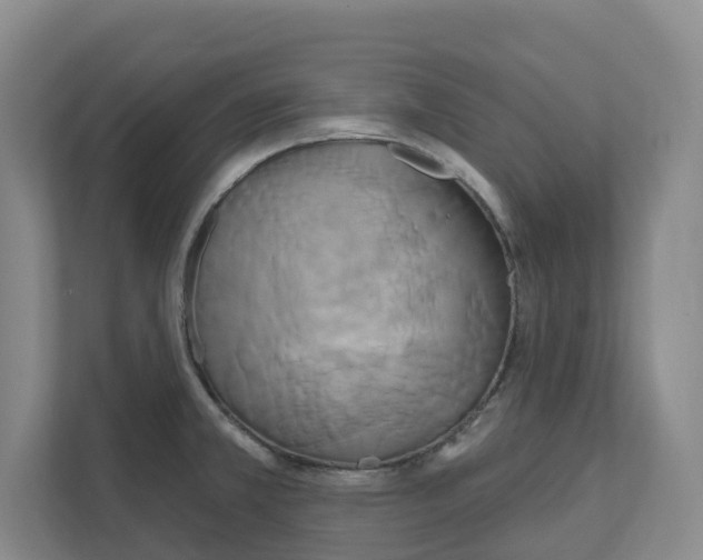 X0000111821381200909031442