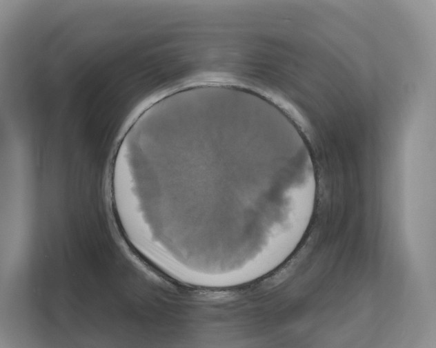 X0000111821382200909031442