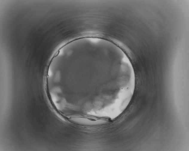 X0000111821383200909031442