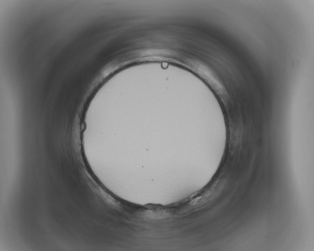 X0000111821384200909031442