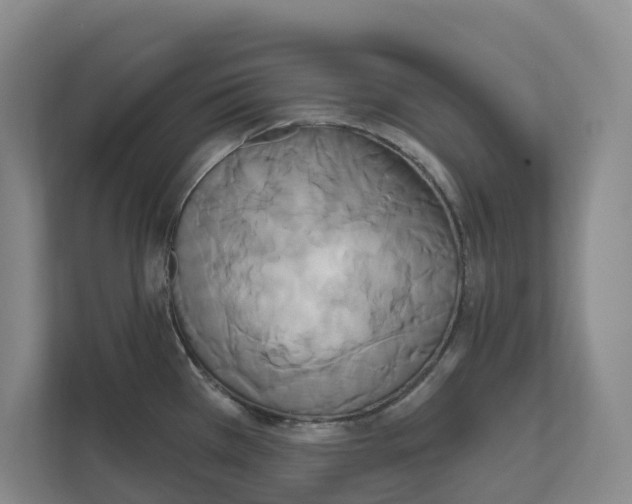 X0000111821385200909031442
