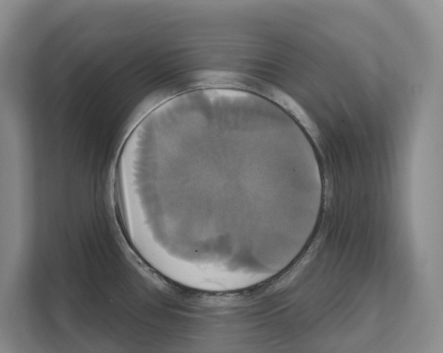 X0000111821386200909031442